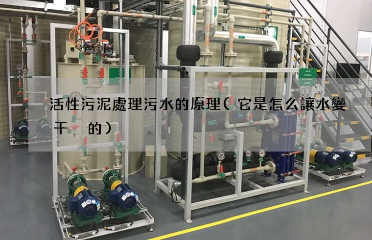活性污泥處理污水的原理(它是怎么讓水變干凈的)
